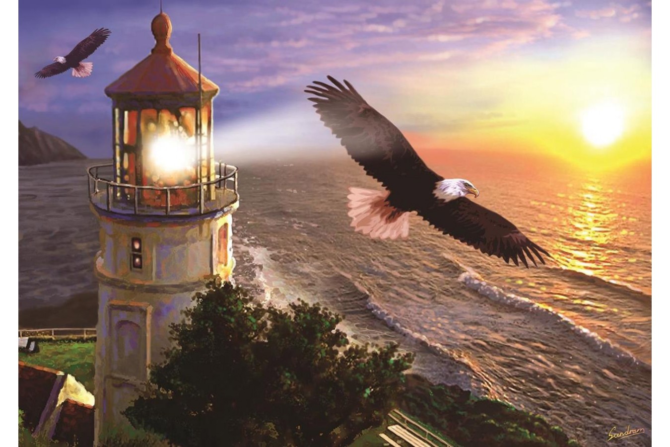 Puzzle Art Puzzle - High Flight at the Sun Rise, 1.000 piese (Art-Puzzle-4221)