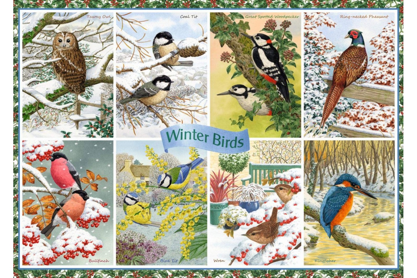 Puzzle Falcon - Winter Birds, 1.000 piese (Jumbo-11234)