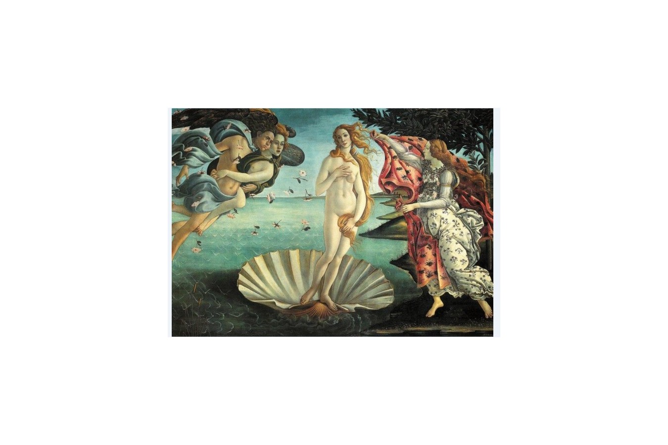 Puzzle Piatnik - Sandro Botticelli: The Birth of Venus, 1.000 piese (5421)