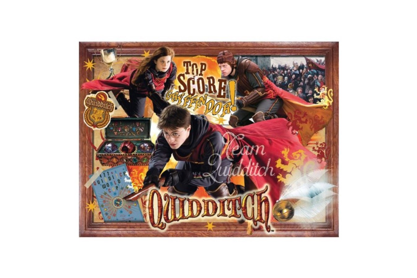 Puzzle Winning Moves - Harry Potter - Quidditch, 1.000 piese (Winning-Moves-02497)