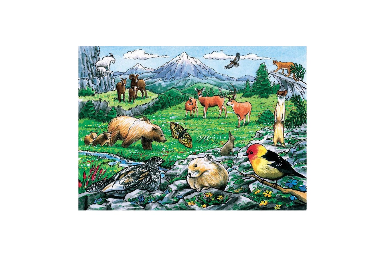 Puzzle Cobble Hill - Rocky Mountain Wildlife, 35 piese (Cobble-Hill-58806)