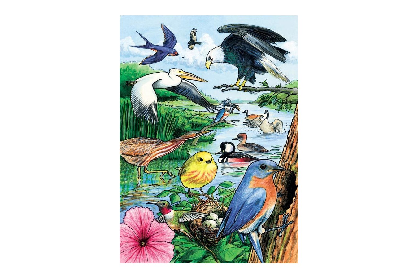 Puzzle Cobble Hill - North American Birds, 35 piese (Cobble-Hill-58809) imagine