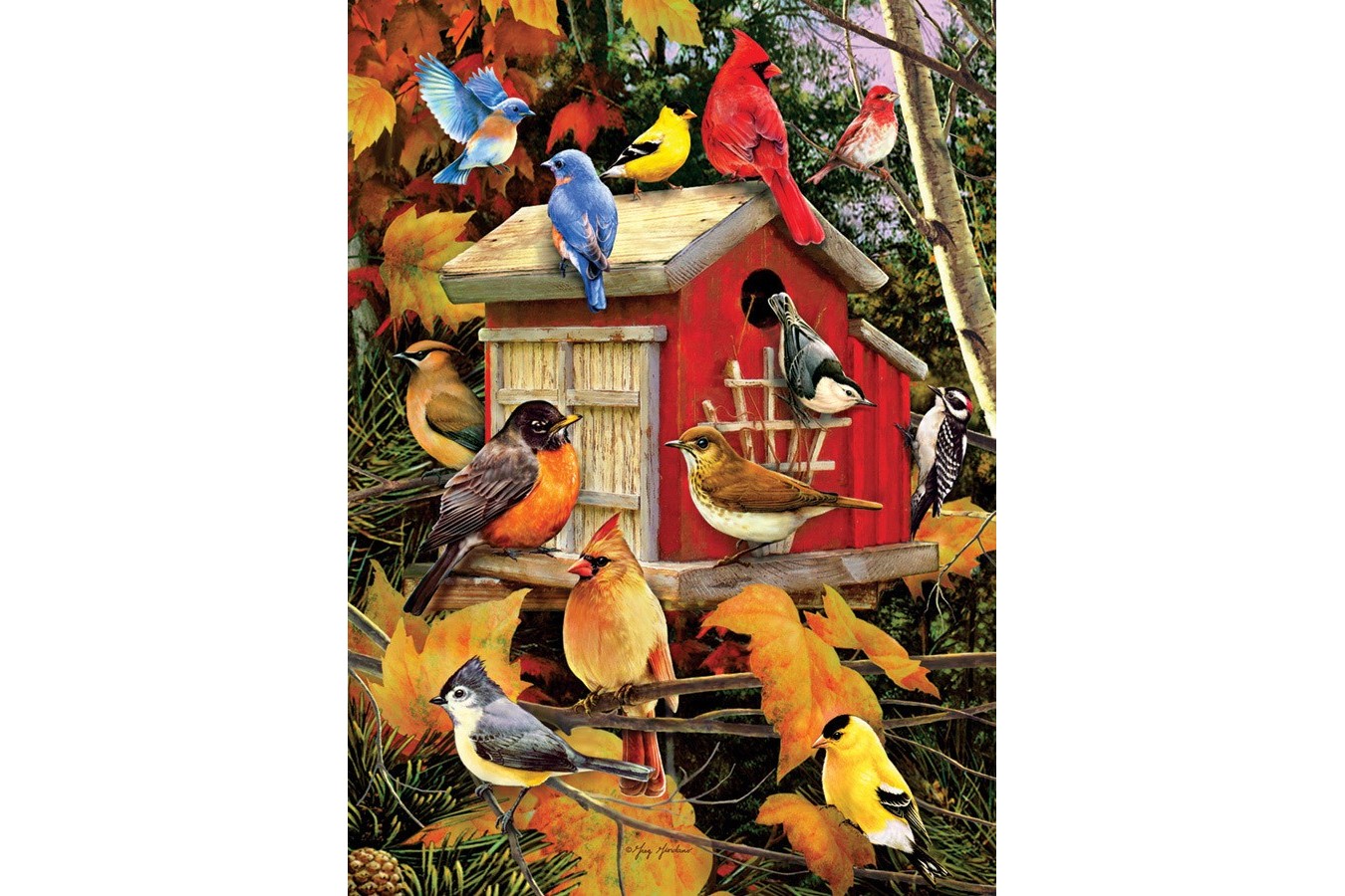 Puzzle Cobble Hill - Fall Birds, 1.000 piese (Cobble-Hill-80100)