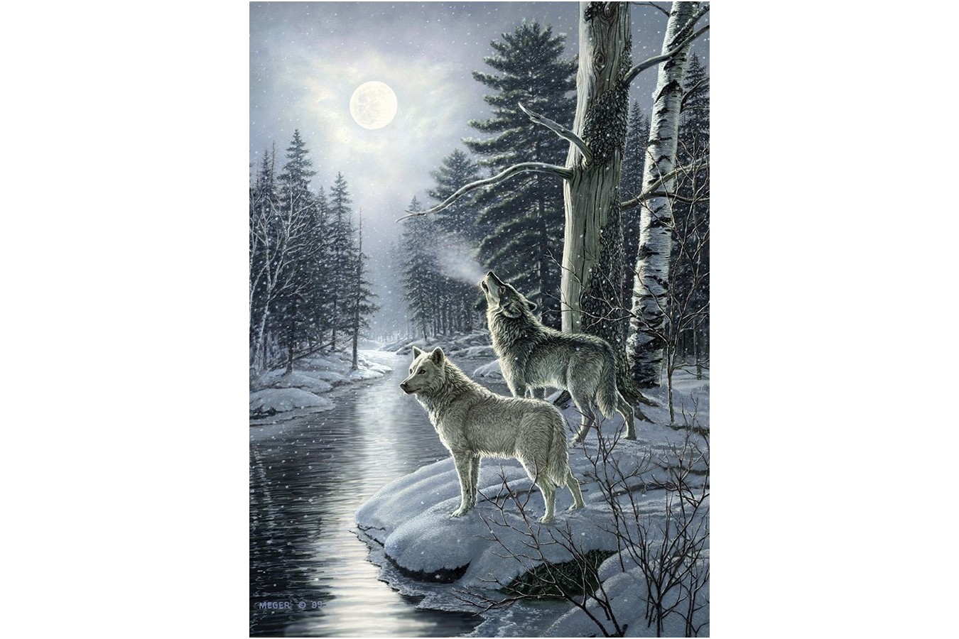 Puzzle Cobble Hill - Wolves by Moonlight, 1.000 piese (Cobble-Hill-80108)