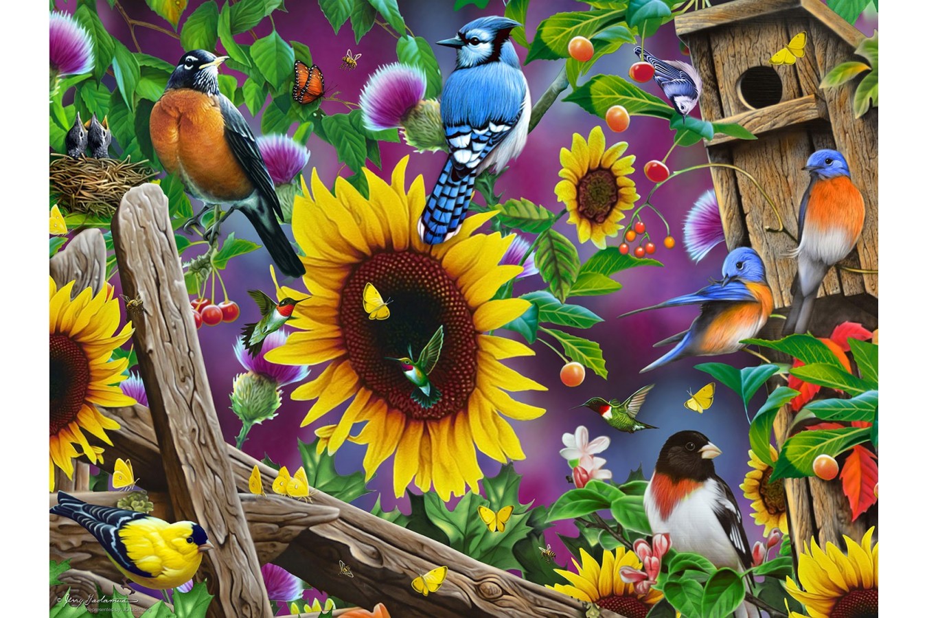 Puzzle SunsOut - Jerry Gadamus: Fenceline Birds, 500 piese (Sunsout-49049)