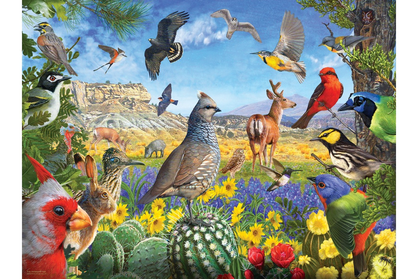 Puzzle SunsOut - R. Christopher Vest: Texas Birds, 1.000 piese (Sunsout-70939)