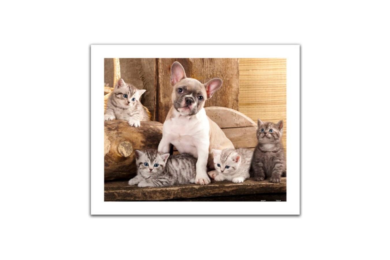 Puzzle din plastic Pintoo - Little Kittens and A Dog, 500 piese (H1567) imagine