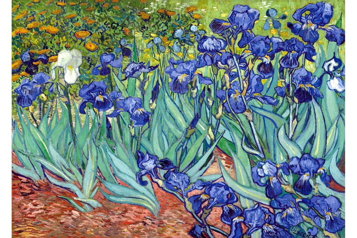Puzzle TinyPuzzle - Vincent Van Gogh: Irises, 99 piese (1018) imagine
