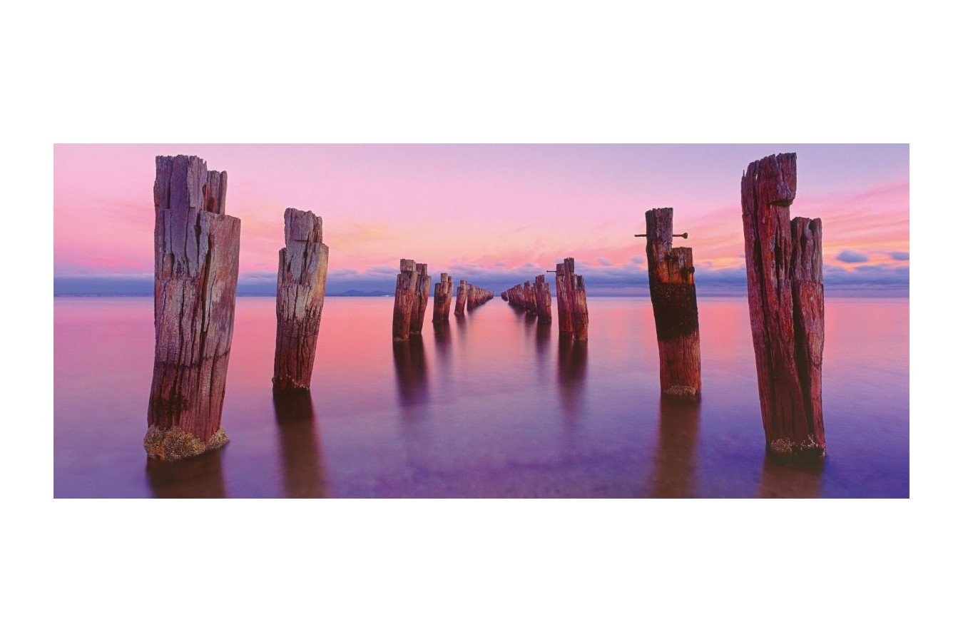 Puzzle panoramic Schmidt - Mark Gray: Clifton Springs, Victoria, Australia, 136 piese (59367)