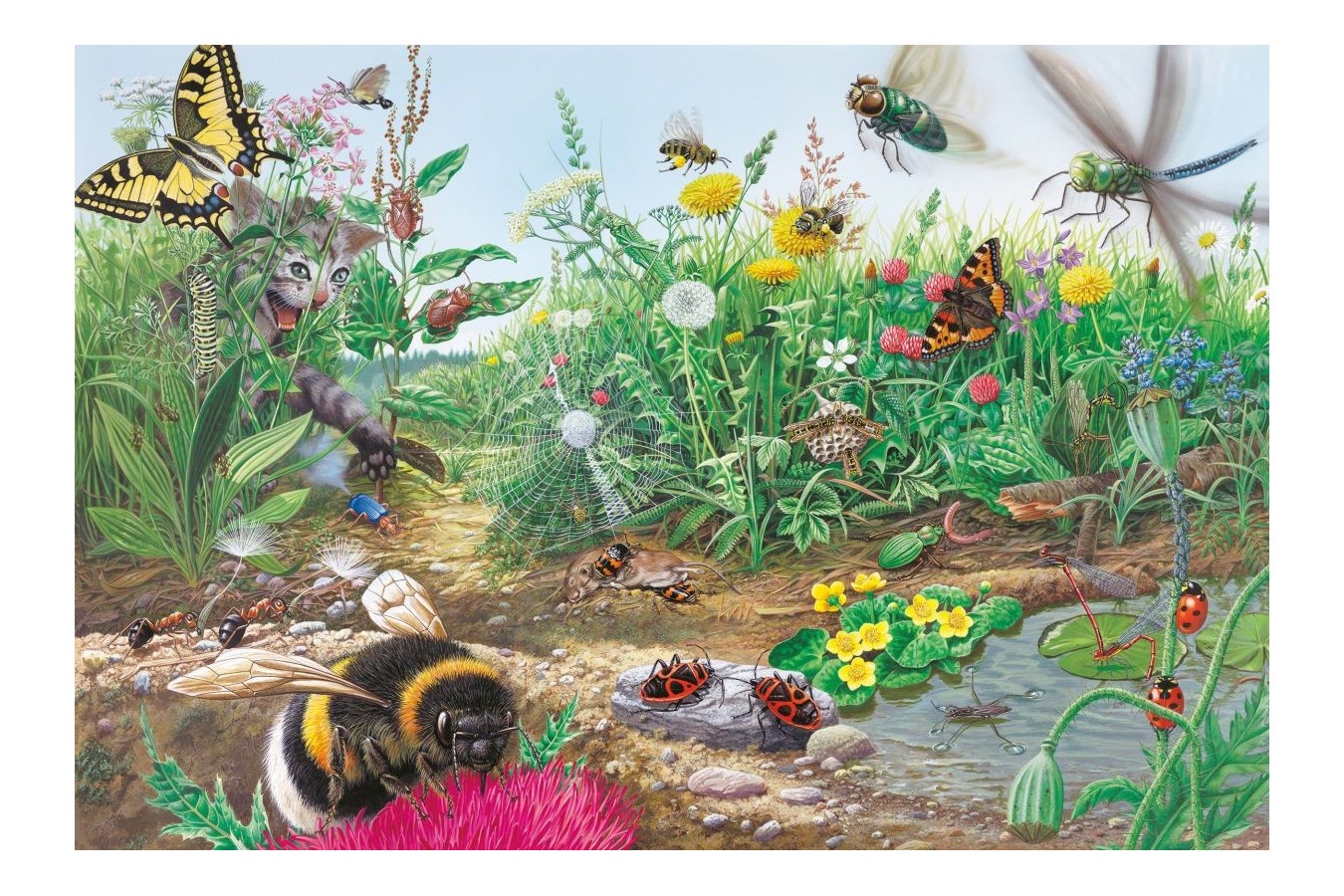 Puzzle Schmidt - Discover the World of Insects, 200 piese, include 1 poster (56293)