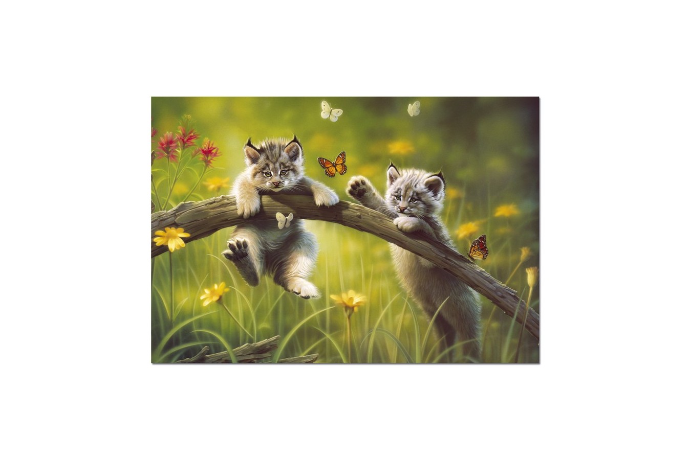 Puzzle Educa - Baby Lynxes, 500 piese, include lipici puzzle (13413)