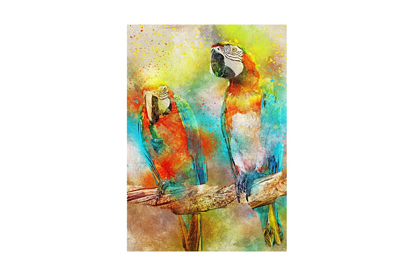 Puzzle Bluebird - Parrots, 1.000 piese (70032)