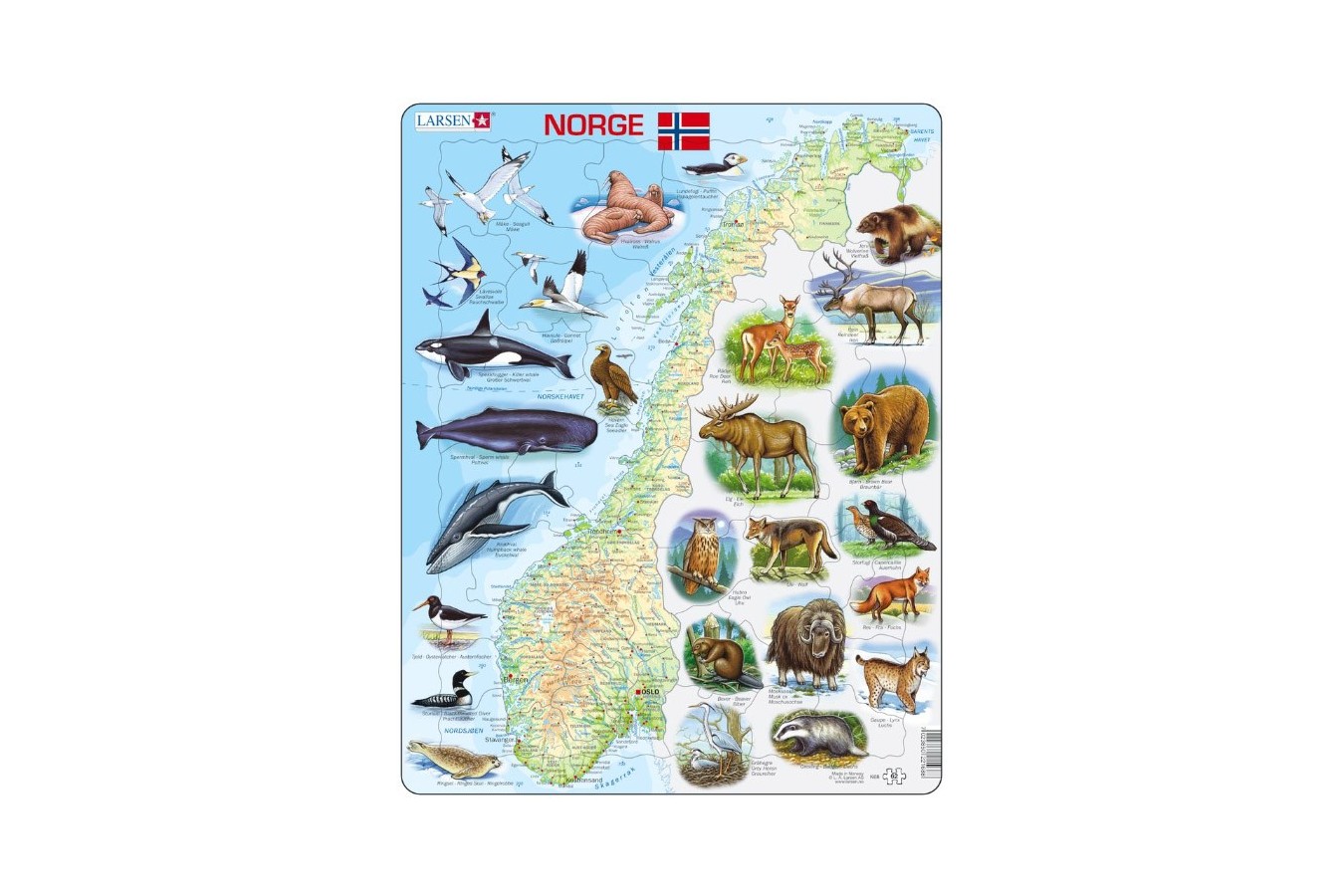 Puzzle Larsen - Physical map of Norway, 62 piese (K68-NO)