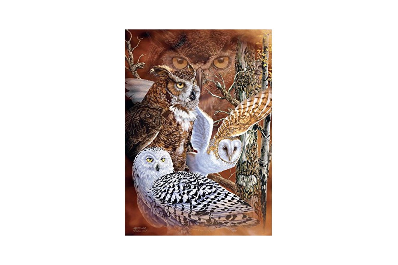 Puzzle Jumbo - Find the Owls, 500 piese (18346)