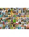 Puzzle Ravensburger - 99 Funny Animals, 1000 piese (19642)