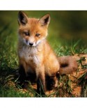 Puzzle Ravensburger - Baby Fox, 500 piese (15237)