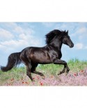 Puzzle Ravensburger - Black Horse, 200 piese XXL (12803)