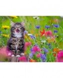 Puzzle Ravensburger - Cat in the Flower Sea, 300 piese XXL (13616)