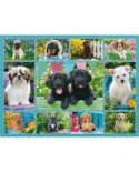 Puzzle Ravensburger - Collage - Dogs, 500 piese (14708)