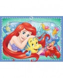 Puzzle Ravensburger - Disney Princesses, 4x42 piese (06857)