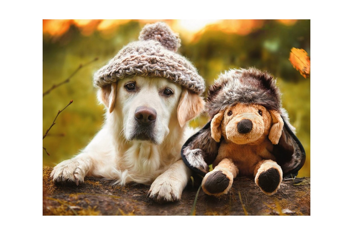 Puzzle Ravensburger - Dog with Cap, 500 piese (14783)