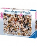 Puzzle Ravensburger - Dogs's Gallery, 1000 piese (15633)