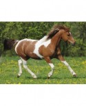 Puzzle Ravensburger - Galloping, 100 piese XXL (10848)
