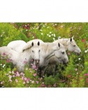 Puzzle Ravensburger - Horses on the Flower Meadow, 300 piese XXL (13218)