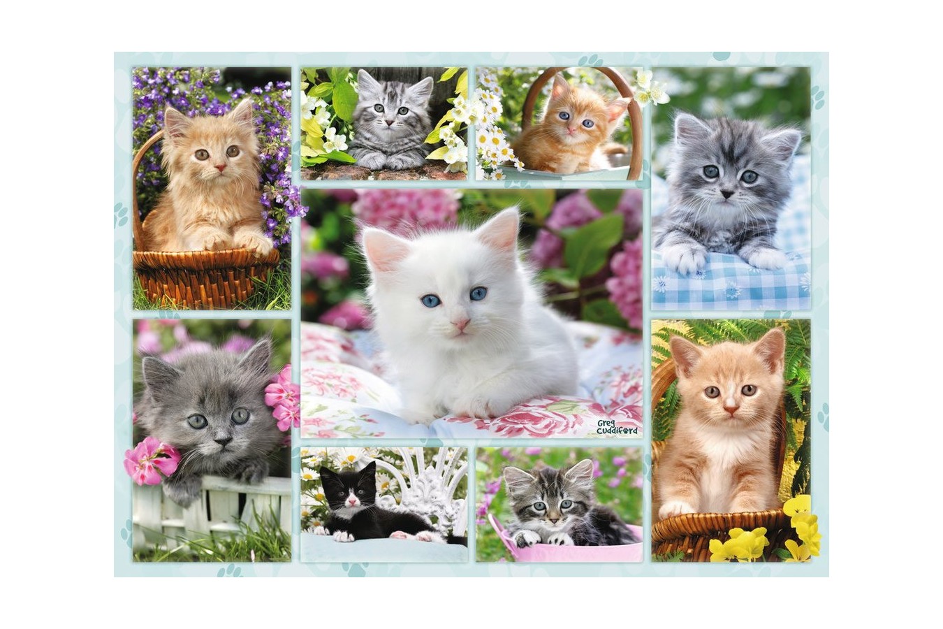 Puzzle Ravensburger - Kittens in their baskets, 500 piese (14196)