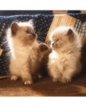 Puzzle Ravensburger - Persian Cats, 500 piese (15220)