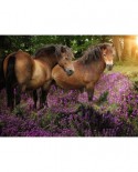 Puzzle Ravensburger - Ponies in the Flowers, 500 piese (14813)
