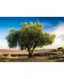 Puzzle Schmidt - Olive Tree In Provence, 1000 piese (58357)
