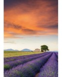 Puzzle Schmidt - Field Of Lavender, Provence, 500 piese (58364)