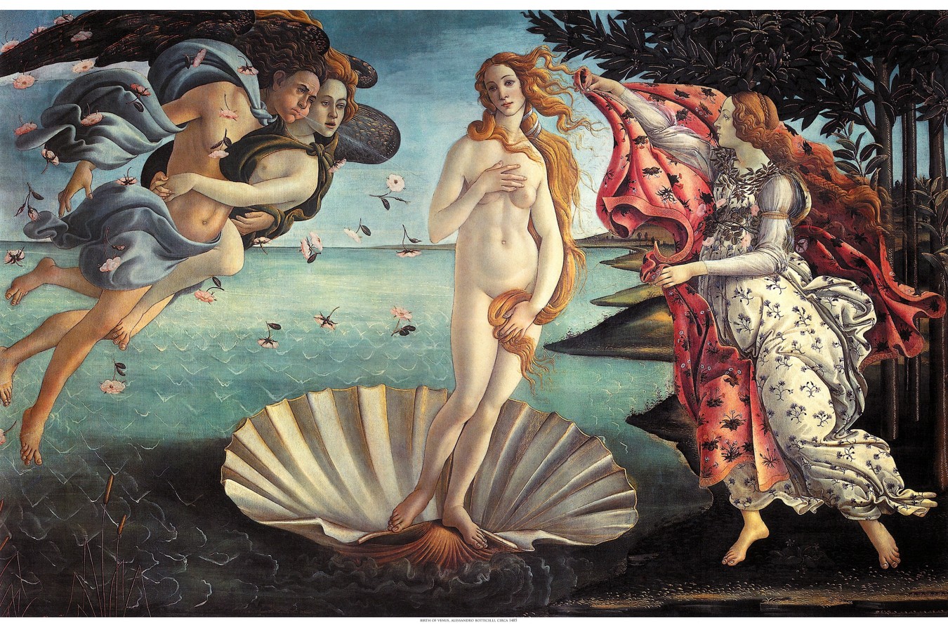 Puzzle D-Toys - William Bouguereau: The Birth of Venus, 1000 piese (72764-1)