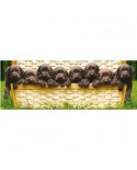 Puzzle panoramic Educa - Puppies in a Trunk, 1000 piese (14530)