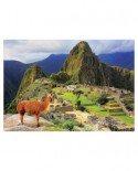 Puzzle Educa - Machu Picchu, Peru, 1000 piese, include lipici (17999)