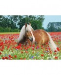 Puzzle Ravensburger - Horse in the Poppy Field, 500 piese (14831)