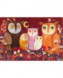 Puzzle D-Toys - Andrea Kurti: Owls, 1000 piese (Dtoys-73747-OW01-(73747))