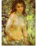 Puzzle D-Toys - Auguste Renoir: Naked in the Sun, 1000 piese (Dtoys-66909-RE04-(70326))