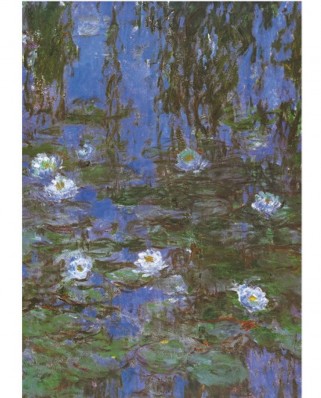 Puzzle D-Toys - Claude Monet: Water Lilies, 1000 piese (DToys-67548-CM06-(69641))