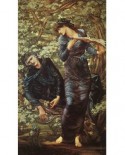 Puzzle D-Toys - Edward Burne-Jones: The Beguiling of Merlin, 1872-1877, 1000 piese (Dtoys-72733-BU02-(75024))