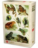 Puzzle D-Toys - Frogs, 1000 piese (Dtoys-75703)