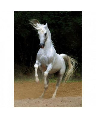 Puzzle D-Toys - Horses:: White Horse, 1000 piese (DToys-65988-PH01)