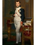 Puzzle D-Toys - Jacques-Louis David: The Emperor Napoleon in his study at the Tuileries, 1812, 1000 piese (Dtoys-72719-DA02)