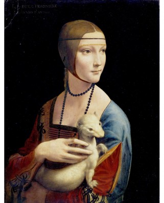 Puzzle D-Toys - Leonardo Da Vinci: Lady with an Ermine, 1000 piese (Dtoys-72689-DA02-(74973))