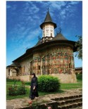 Puzzle D-Toys - Romania - Sucevite Monastery, 1000 piese (DToys-63038-MN03)