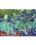 Puzzle D-Toys - Vincent Van Gogh: Iris, 1000 piese (DToys-66916-VG03-(70241))
