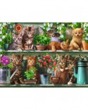 Puzzle Ravensburger - Cats on the Shelf, 500 piese (14824)