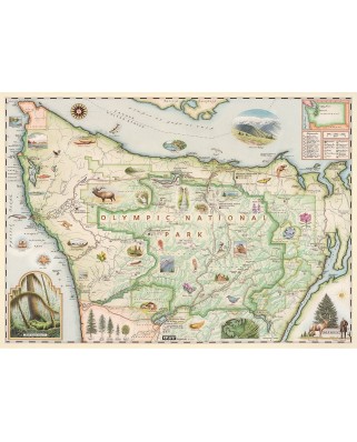 Puzzle Master Pieces - Olympic Map, 1000 piese (Master-Pieces-71766)