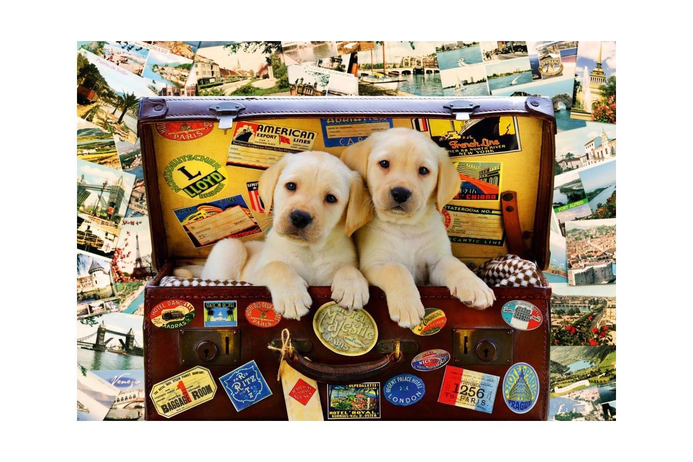 Puzzle Bluebird - Two Travel Puppies, 1000 piese (Bluebird-Puzzle-70237-P)